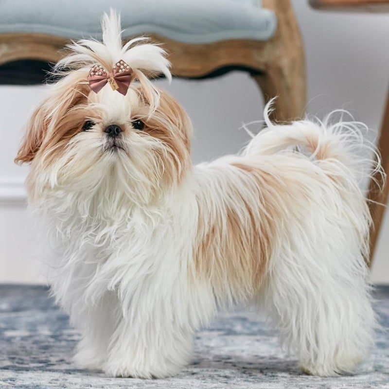 Western Era Dog Bow Clip with Pearls – Fashionable & Durable Pet Accessory for Small, Medium & Large Dogs – Perfect for Grooming, Photoshoots, Parties & Daily Use – Stylish Design (Brown) - Image 2