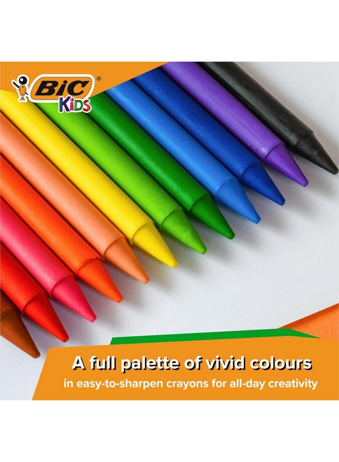 Bic Bic Kids Plastidecor Colouring Crayons, Crayons for Drawing and Crafts, Assorted Colours, Pack Of 24  - Image 3