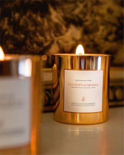 Benevolence LA شموع بينيفولنس LA من خشب الأوكالبتوس والبرتقال | شموع معطرة من الصويا للمنزل | هدايا للنساء والرجال | عطر المنزل | العلاج بالروائح | ديكور الرفوف، معطر الحمام | 8 أونصات، 45 ساعة احتراق - Image 3