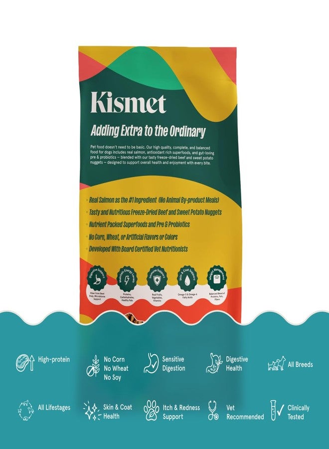 Kismet Dry Dog Food, Salmon & Brown Rice Recipe with Freeze-Dried Nugs, Real Salmon #1 Ingredient, Made in USA, 4 lb - Image 4