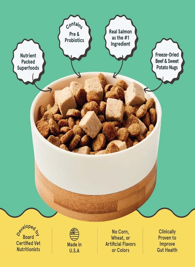 Kismet Dry Dog Food, Salmon & Brown Rice Recipe with Freeze-Dried Nugs, Real Salmon #1 Ingredient, Made in USA, 4 lb - Image 2