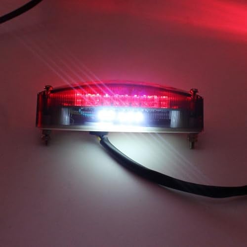 BlyilyB DC12V Dual Color Motorcycle ATV Tail Light White Color For License Plate Light and Red Color For Tail Light Brake Stop Light Lamp (Pack of 1) - Image 5