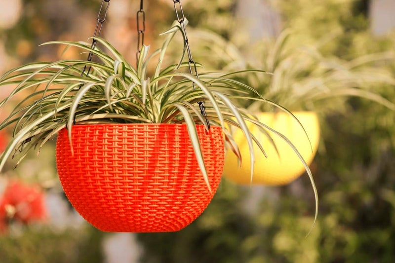 Bianco Round Rattan Woven Hanging Planters with Hanging Chain, Hanging Pots for Plants Balcony (Yellow, Set of 7, 7.1x4.8 Inch) - Image 4