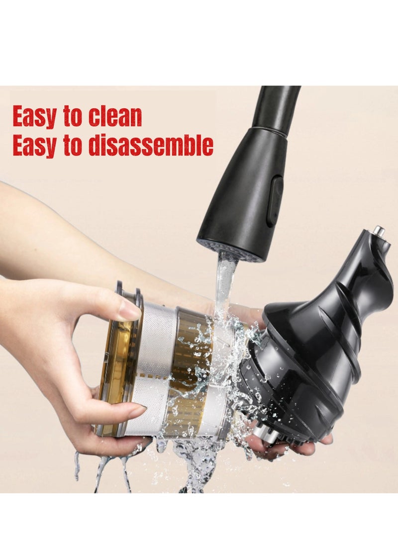 GearZone - Slow Masticating Juicer Extractor Easy to Clean, Cold Press Juicer Machines, Juice Extractor with Quiet Motor, Silver Color - Image 1