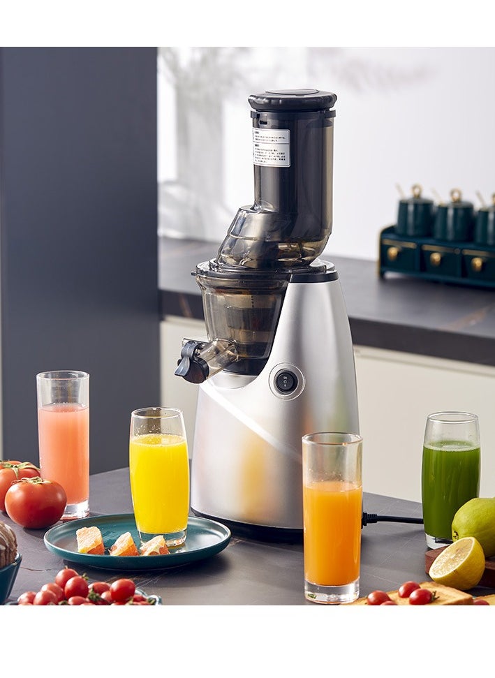 GearZone - Slow Masticating Juicer Extractor Easy to Clean, Cold Press Juicer Machines, Juice Extractor with Quiet Motor, Silver Color - Image 1