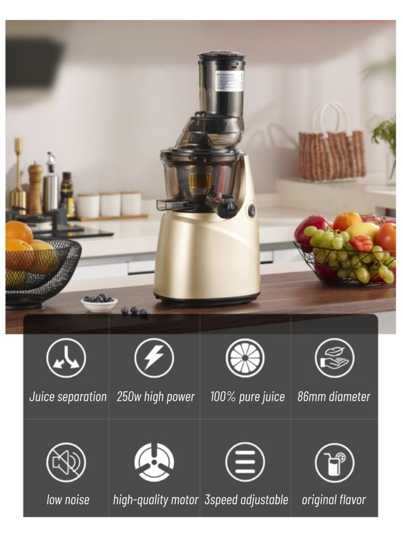 GearZone - Slow Masticating Juicer Extractor Easy to Clean, Cold Press Juicer Machines, Juice Extractor with Quiet Motor, Silver Color - Image 1