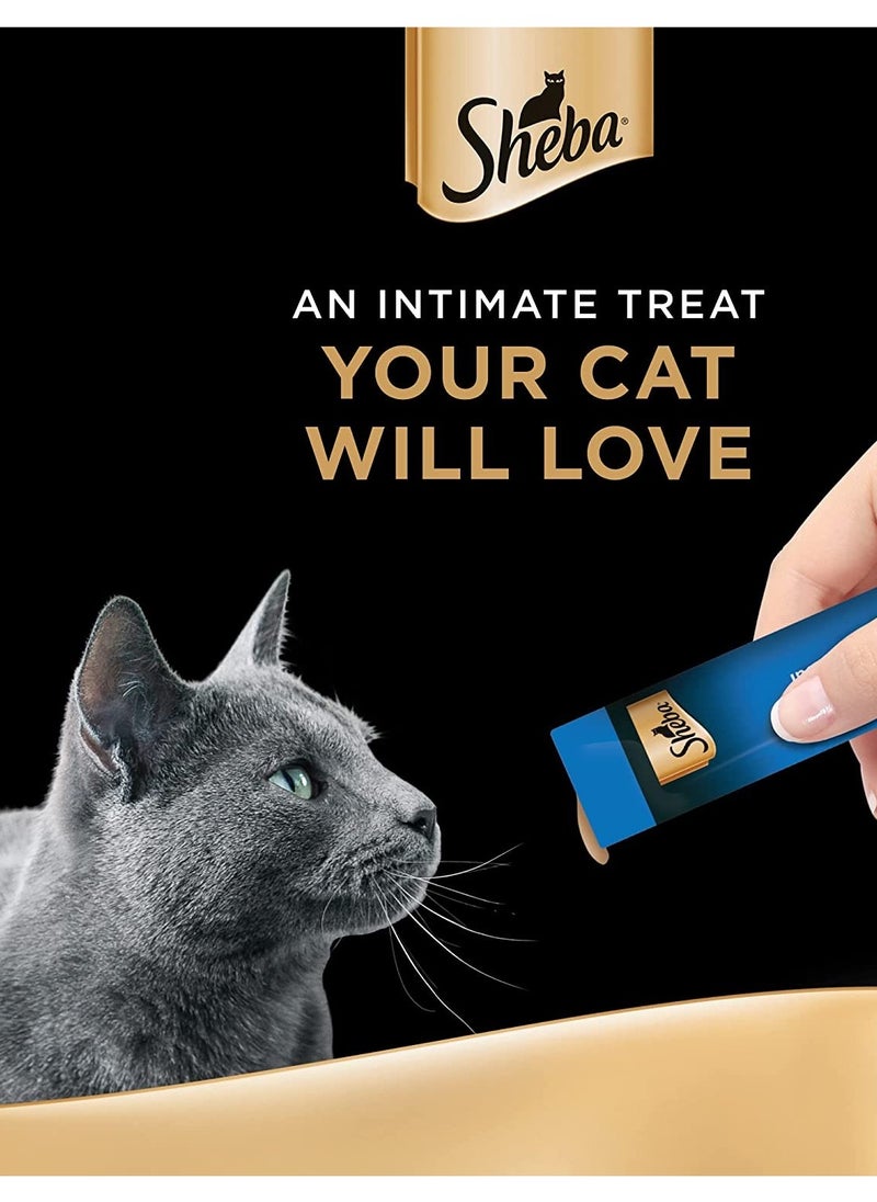 Sheba Melty Sheba Cat Food With Tuna Flavor A luxuriously moist creamy sauce Hand feed for special moments so your cat can enjoy this Sheba Wet food Pack of 4 pieces x 12 g of 3 packs  - Image 3