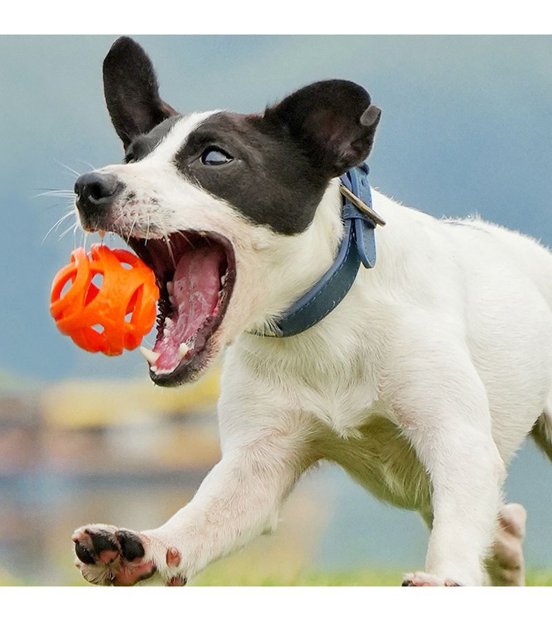 Blue Rubber Ball Dog Toy 2 17 Inch Hollow Ball For Teeth Grinding Outdoor Throwing - Image 5