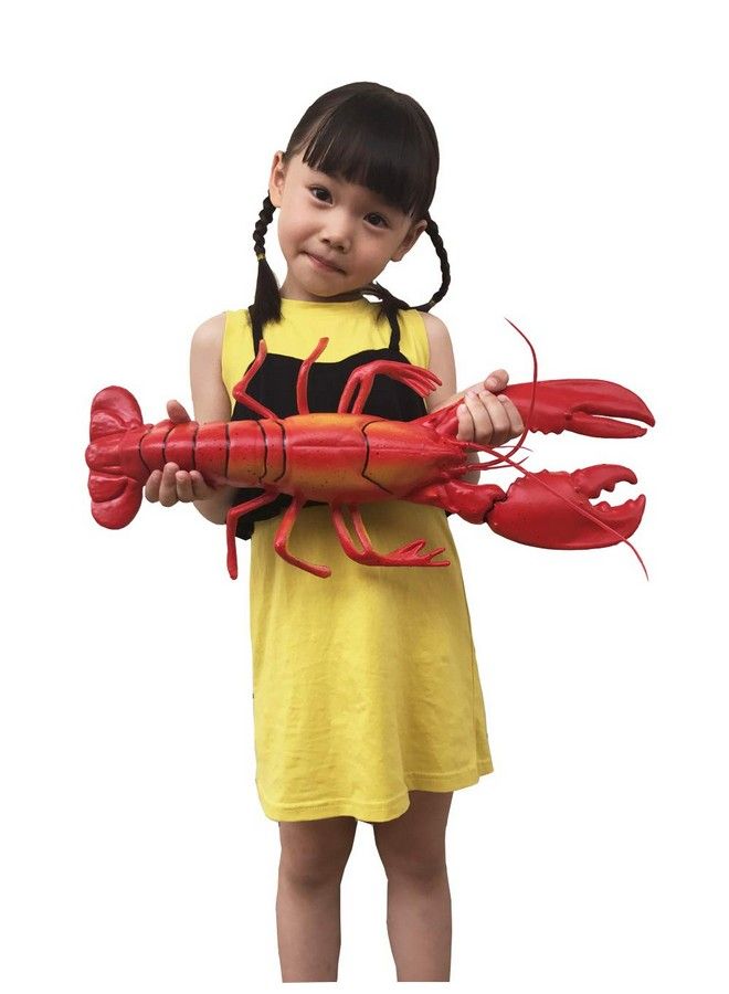 Wayber Lifelike Artificial Lobster 18 X 8 Inch Large Realistic Plastic Lobster Model For Home Decoration Aquarium Display Stage Drama & Photography Prop - Image 4