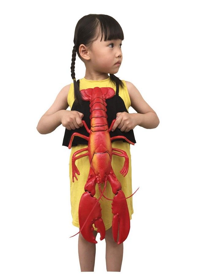 Wayber Lifelike Artificial Lobster 18 X 8 Inch Large Realistic Plastic Lobster Model For Home Decoration Aquarium Display Stage Drama & Photography Prop - Image 5