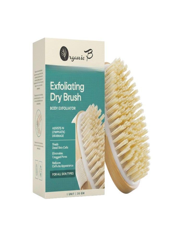 Organic B Body Brush | Bath Brush for Women | Bath Brush for Back Cleaning | Massaging Bristles | For Easy Cleaning & Massaging of Body, Back, Legs, Thighs | Suitable for All Skin Types - Image 1