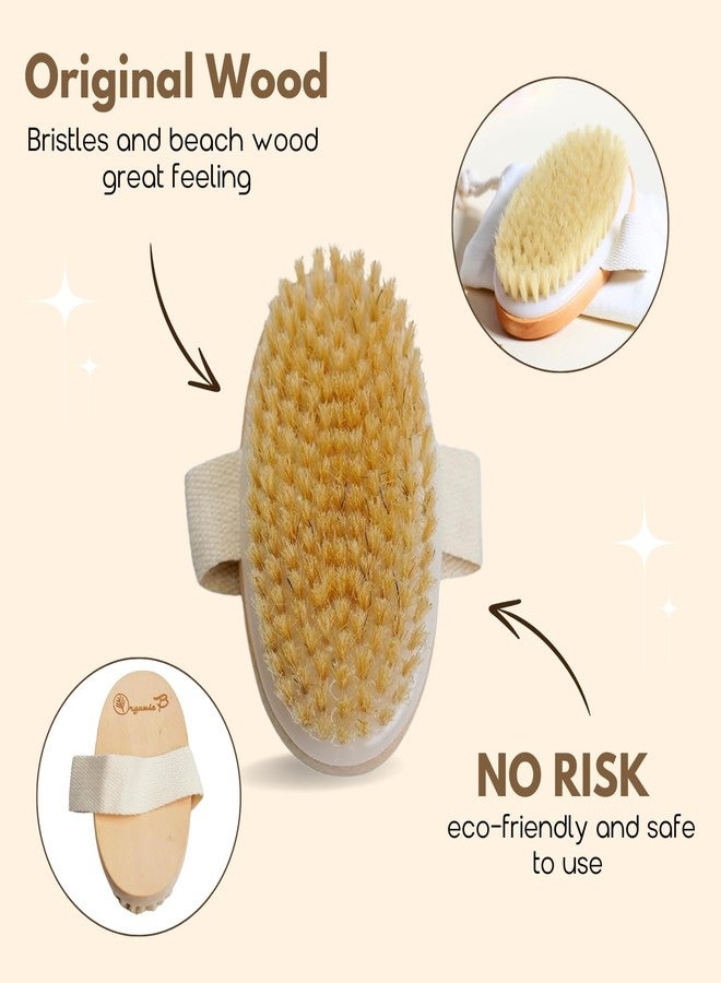 Organic B Body Brush | Bath Brush for Women | Bath Brush for Back Cleaning | Massaging Bristles | For Easy Cleaning & Massaging of Body, Back, Legs, Thighs | Suitable for All Skin Types - Image 2