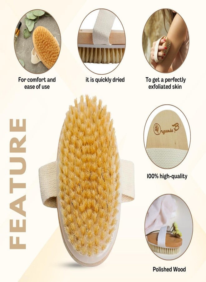 Organic B Body Brush | Bath Brush for Women | Bath Brush for Back Cleaning | Massaging Bristles | For Easy Cleaning & Massaging of Body, Back, Legs, Thighs | Suitable for All Skin Types - Image 3