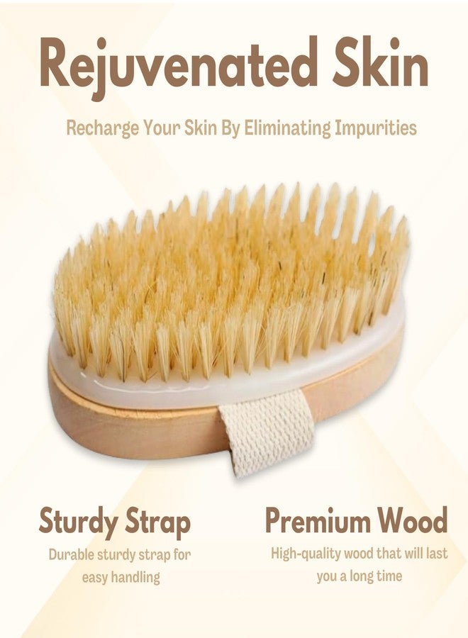 Organic B Body Brush | Bath Brush for Women | Bath Brush for Back Cleaning | Massaging Bristles | For Easy Cleaning & Massaging of Body, Back, Legs, Thighs | Suitable for All Skin Types - Image 5
