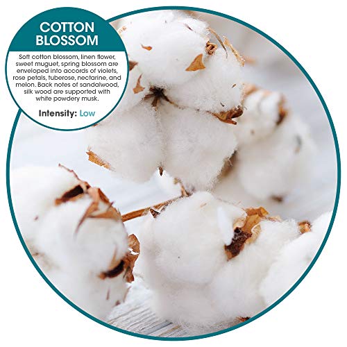 Fresh Products Eco-Air Refill, Air Freshener, Dry Fragrance Refill, Natural Oils, No Acetone or Propellants, Lasts 30 Days, Eco-Friendly, Powerful Fragrance — Cotton Blossom, Made In USA, 6 Pack - Image 5