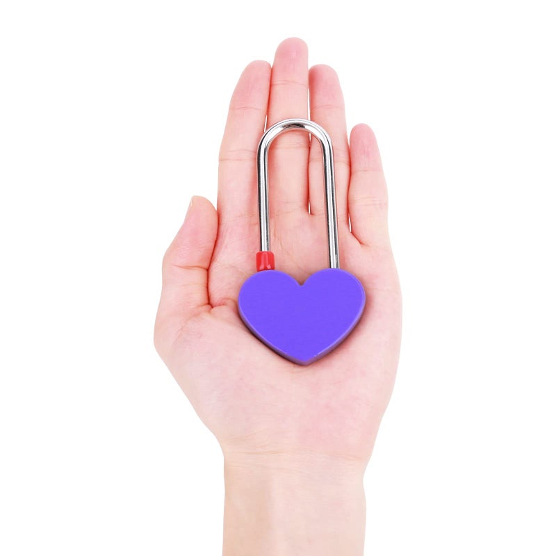 Veyocilk 50 Pcs Love Lock Heart Padlock  Purple Single Heart Wish Lock For Lovers Wedding  Bridge  Anniversary  Travel  Wish Day(No Key) - Image 5