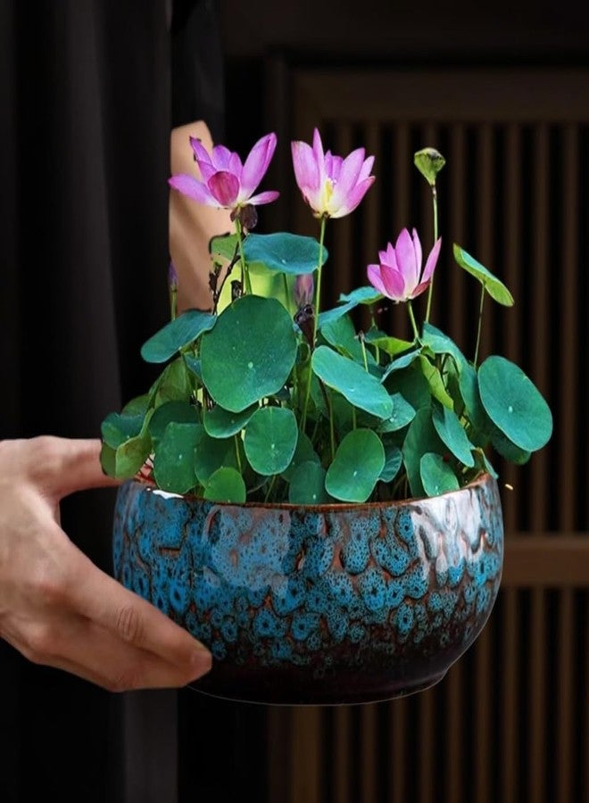 Smowfes Lotus Bowl Planter for Indoor Water Planting - Hydroponic Container with Lotus Flower Design, Perfect for Growing Lotus Seeds in Water, Decorative Aquatic Plant Bowl for Home, Patio, Zen Garden Decor - Image 3