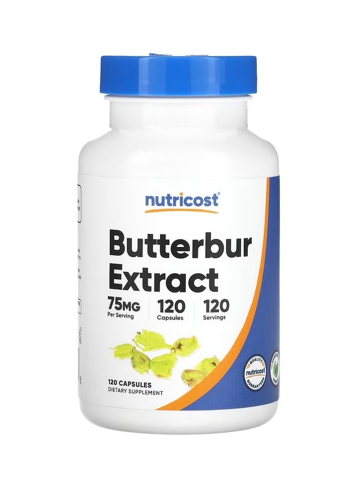 Nutricost Ginger Extract Dietary Supplement, 75 mg, 120 Capsules