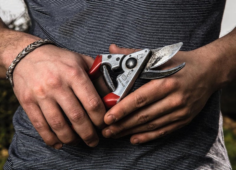 Felco Ergonomic Hand Pruner with 1-Inch Cutting Capacity - F 8 Model - Image 2