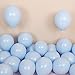 Brontothere Pastel Blue Balloons 12 inch 50pcs Latex Party Balloons Baby Shower Helium Balloons Blue Birthday Balloon - Image 3