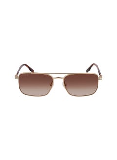 LACOSTE FULL RIM METAL METAL LACOSTE SUNS L264S 5817 (710) GOLD  - Image 2