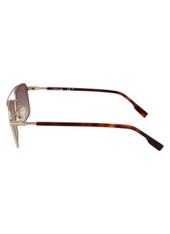 LACOSTE FULL RIM METAL METAL LACOSTE SUNS L264S 5817 (710) GOLD  - Image 4