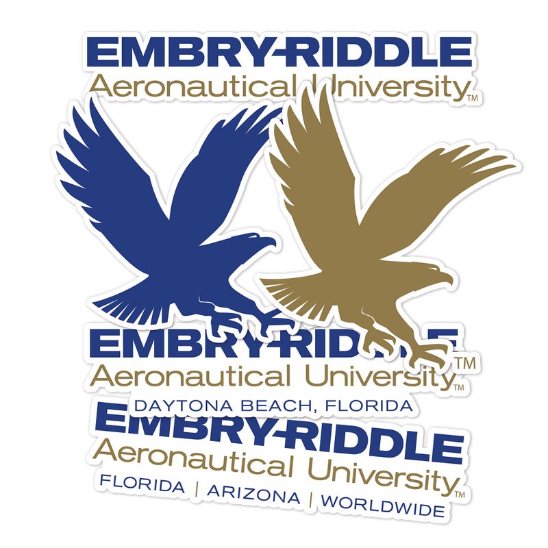 Desert Cactus EmbryRiddle Aeronautical University Sticker Eagles ERAU Vinyl Decals Laptop Water Bottle Car Scrapbook Sheet Type 2