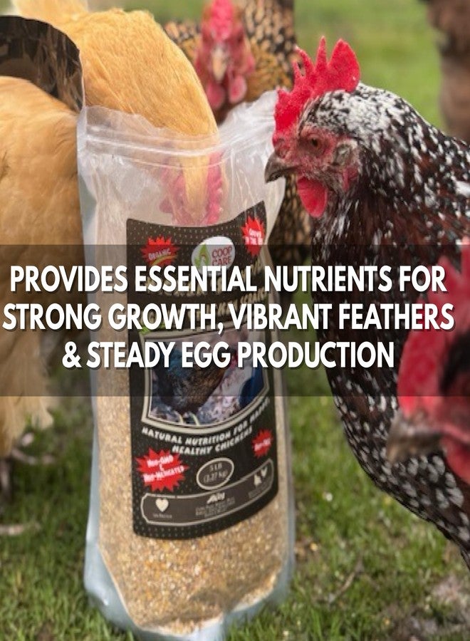 Coop Care Chicken’s Choice Organic Chicken Scratch 5 lb Bag. Organic 5 Grain High Protein Premium Scratch Grain Treats & Food For Poultry, Duck & other Birds - Non-Gmo Chicken Feed, Soy Free Natural Ingredients - Image 2