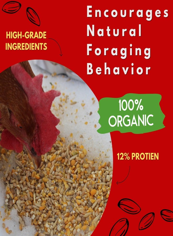 Coop Care Chicken’s Choice Organic Chicken Scratch 5 lb Bag. Organic 5 Grain High Protein Premium Scratch Grain Treats & Food For Poultry, Duck & other Birds - Non-Gmo Chicken Feed, Soy Free Natural Ingredients - Image 5