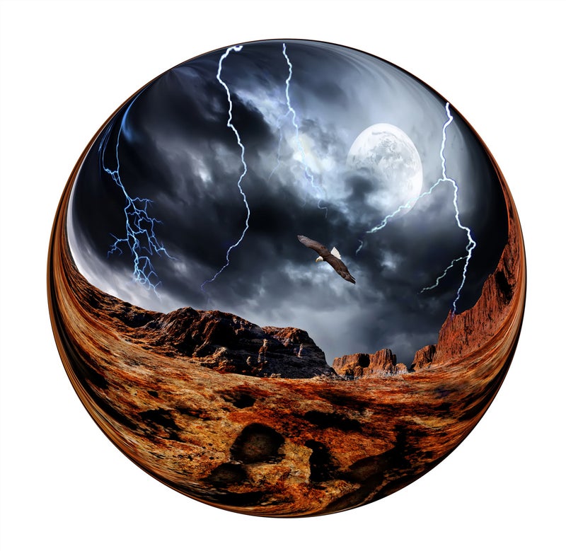 Beila Round Puzzle 1000 Pieces Paper Adult Decompression Earth Animal City Illustration Overseas Supply - Image 1