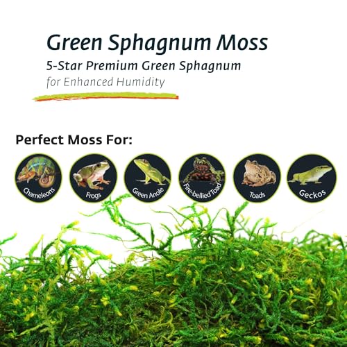 Galapagos (05211 Terrarium Sphagnum Moss, Fresh Green, 150in3 Header Bag - Image 2