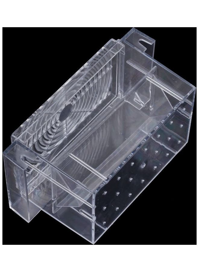 NIBEMINENT FH-102 PVC Fish Hatchery Clear 12.8cm - Image 5