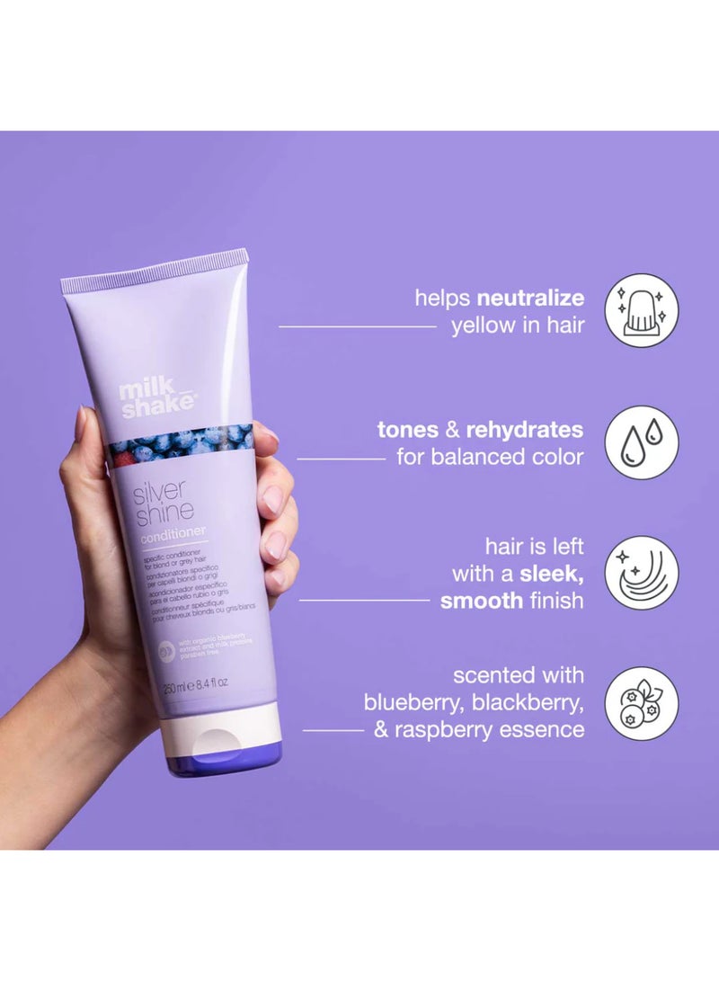 ميلك شيك بلسم سيلفر شاين 250 مل - Image 4