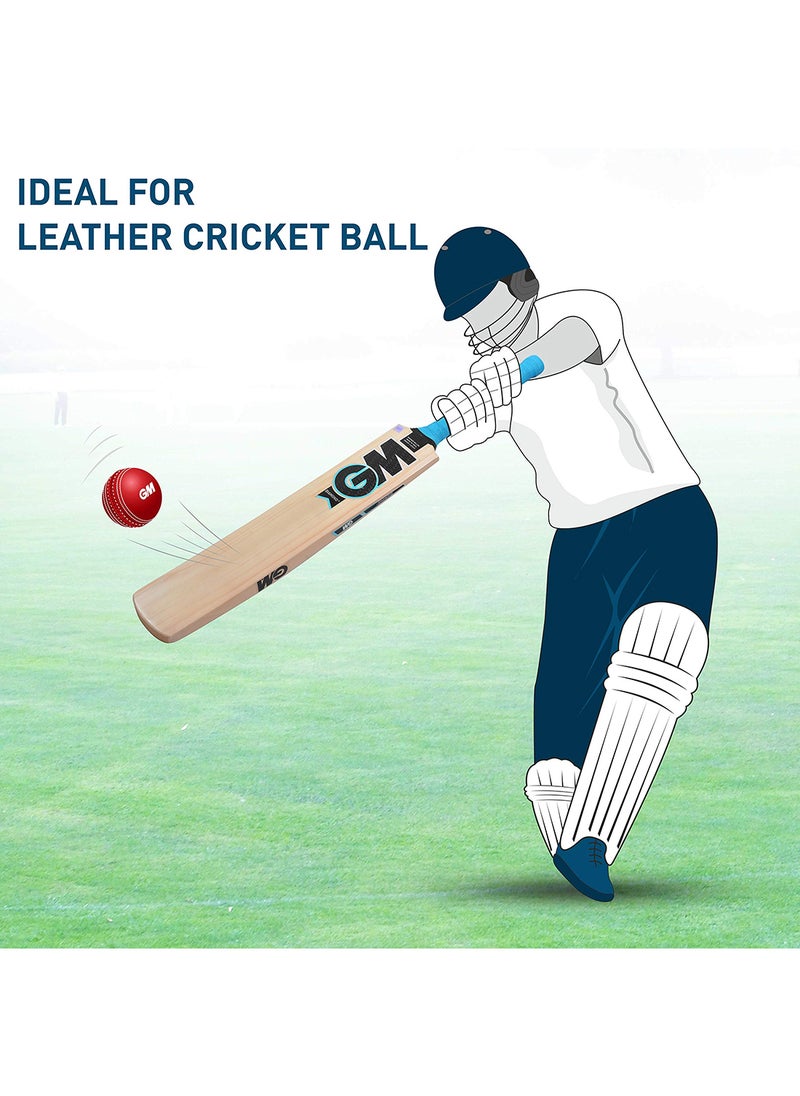 GM - Diamond Striker Kashmir Willow Cricket Bat - Image 1