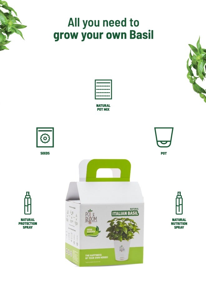 POT & BLOOM Pot And Bloom Home Gardening Kit - Basil Plant. Herbs in Your Own Balcony: Organic Basil Plant Kit with Basil Seeds, Pot, Sprays & Gardening Soil. Have Fresh Italian Basil. Fresh Basil For Any Recipe  - Image 2