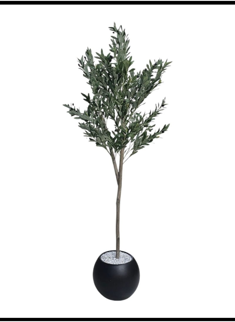 AL KHALDIYA Fruitful olive tree with a large black pot with an attractive design, make your home more elegant, 180 cm  - Image 3