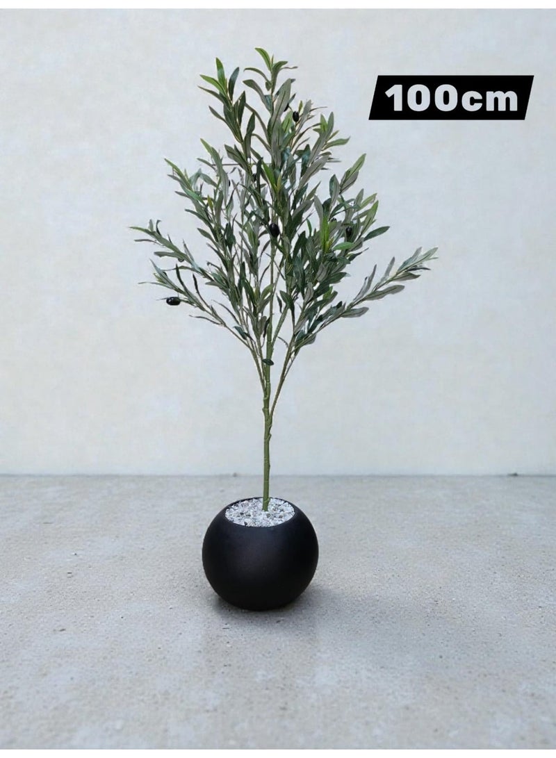 بيت الرواسم شجر زيتون مثمر مع اصيص اسود كبير بتصميم جذاب  اجعل منزلك اكثر اناقة مقاس 180 سم 150سم 220سم 100 سم - Image 2