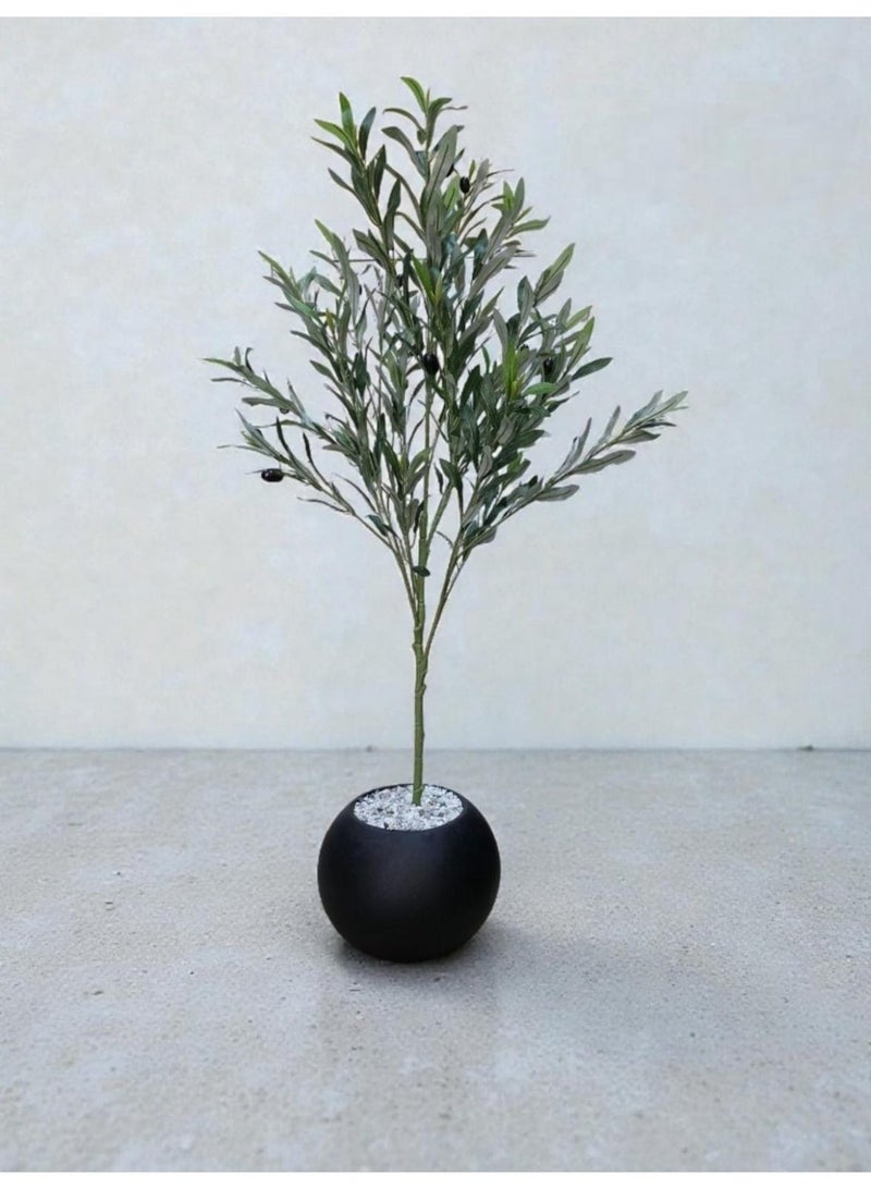 بيت الرواسم شجر زيتون مثمر مع اصيص اسود كبير بتصميم جذاب  اجعل منزلك اكثر اناقة مقاس 180 سم 150سم 220سم 100 سم - Image 2