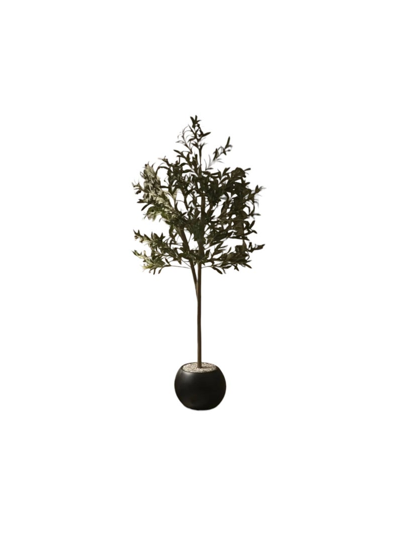 بيت الرواسم شجر زيتون مثمر مع اصيص اسود كبير بتصميم جذاب  مقاسات مختلفة - Image 4