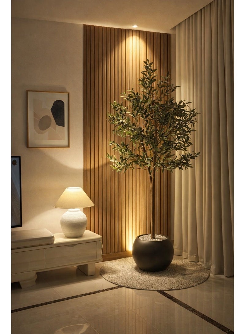 بيت الرواسم شجر زيتون مثمر مع اصيص اسود كبير بتصميم جذاب  مقاسات مختلفة - Image 3