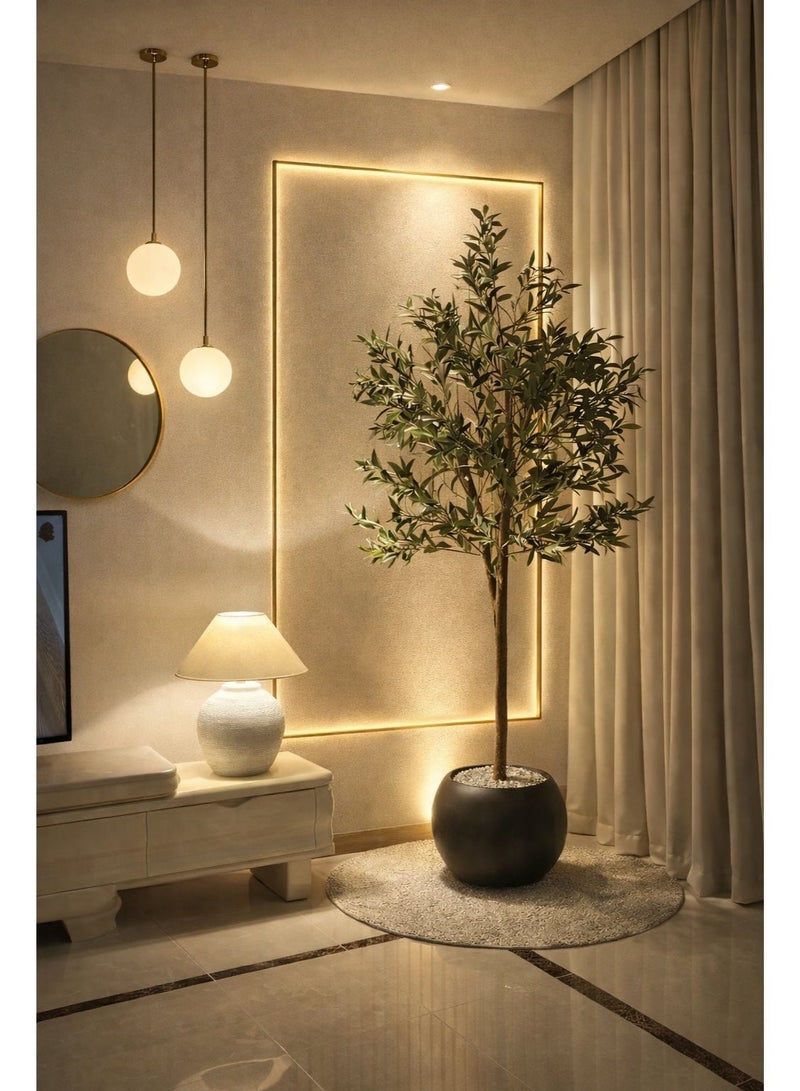 بيت الرواسم شجر زيتون مثمر مع اصيص اسود كبير بتصميم جذاب  مقاسات مختلفة - Image 2