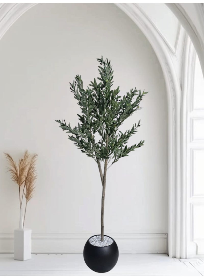 بيت الرواسم شجر زيتون مثمر مع اصيص اسود كبير بتصميم جذاب  مقاسات مختلفة - Image 5