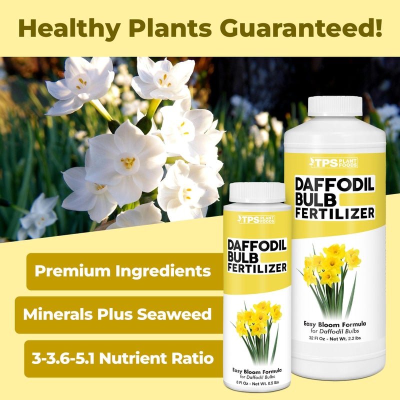 TPS NUTRIENTS Daffodil Fertilizer, Complete Liquid Daffodil Bulb Plant Food, 8 oz (250mL) - Image 2