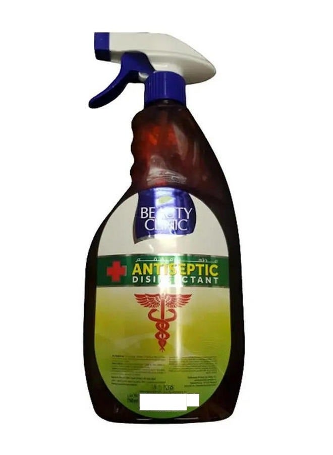 Beauty Clinic Antiseptic Disinfectant Spray 750 ML - Image 2