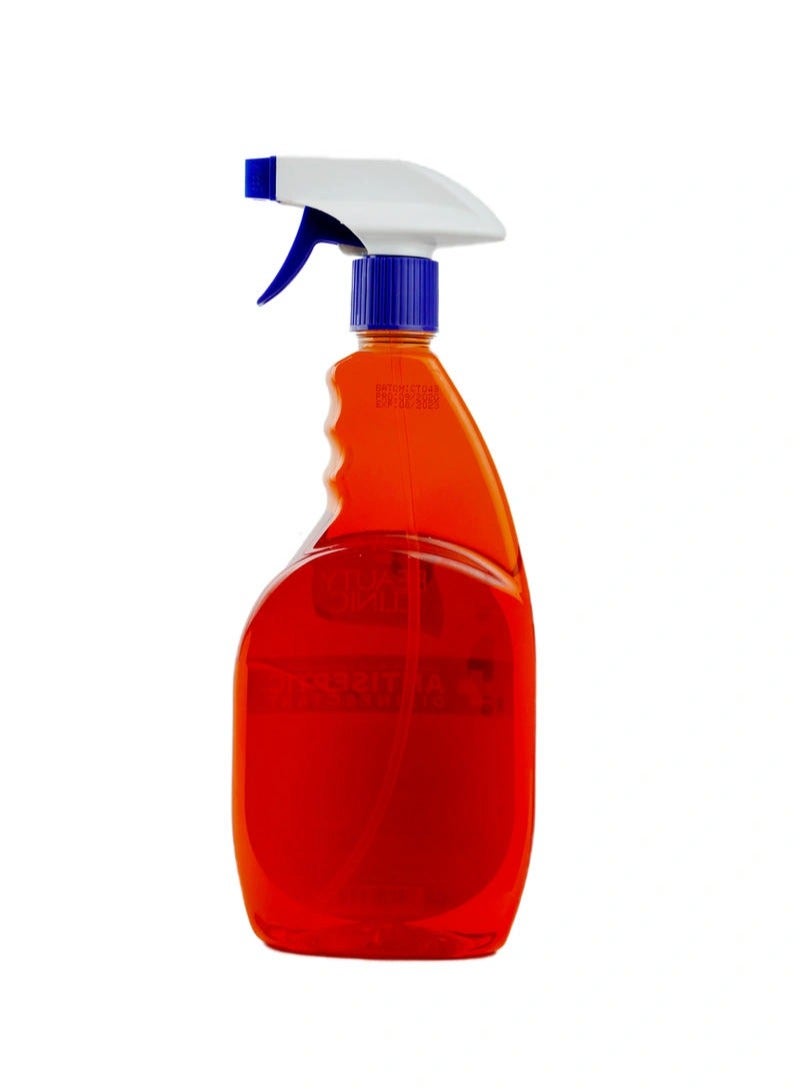 Beauty Clinic Antiseptic Disinfectant Spray 750 ML - Image 4