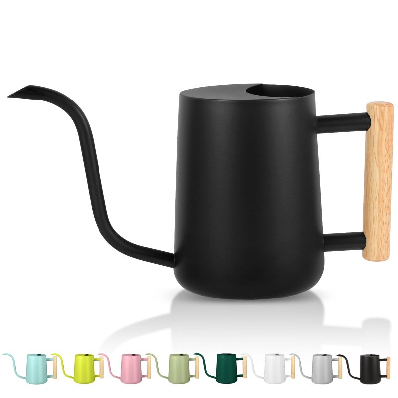 GUKJOB Plant Watering Can,35oz Metal Watering Can,Stainless Steel Indoor Plants with Long Curved Spout,Small Bonsai Outdoor Garden Modern Decorative(Black) - Image 1