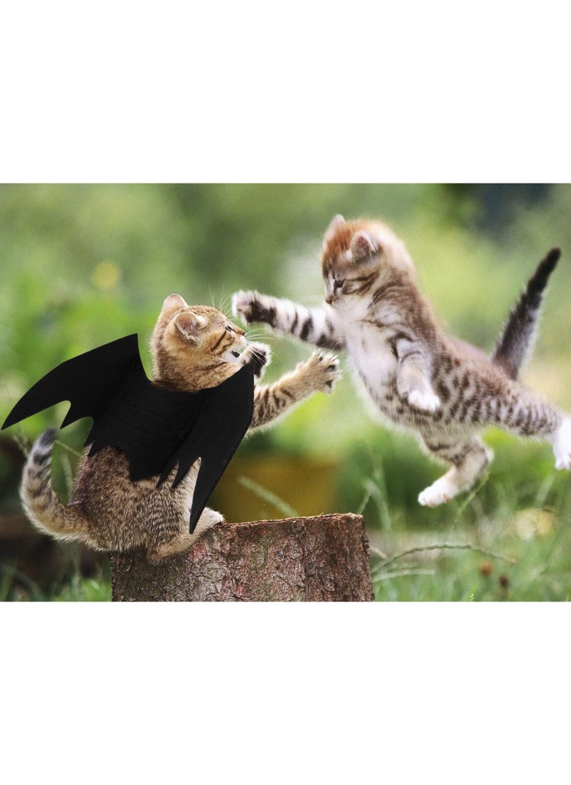 Mumoo Bear Pet Cat Bat Wings For Halloween Party Decoration, Puppy Collar Leads Cosplay Bat Costume,Cute Puppy Cat Dress Up Accessories. Next step: Improve listing quality - Image 3