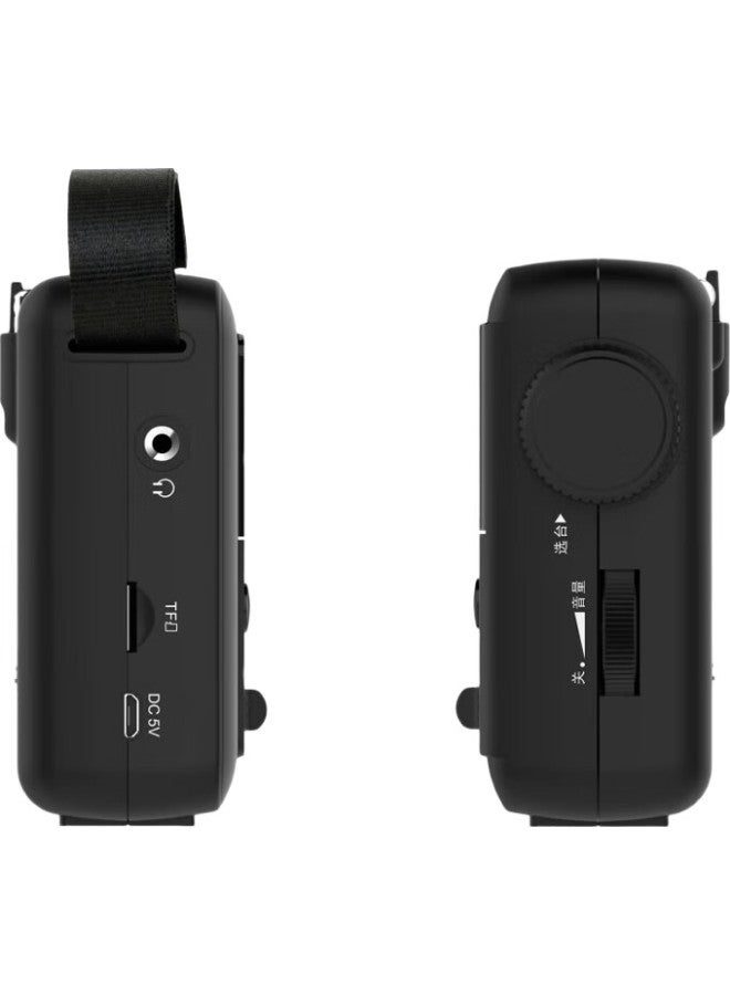 Panda Panda T-04 Portable Digital Display Radio With Tf Card Slot, Lithium Battery, And Semiconductor For Elderly, Car Use, And Backup (Black) - Image 2