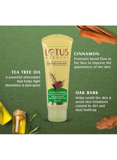LOTUS HERBALS Teatreewash Tea Tree & Cinnamon Anti-Acne Oil Control Face Wash  - Image 3