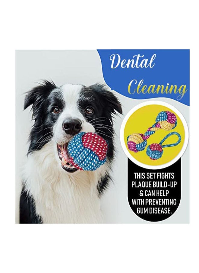 MissTiara Pet Puppy Toys Gift Set for Small Dogs, 7 Pack Small Dog Toys Cat Toys, Cute Squeaky Dog Toys, Durable Puppy Teething Toys, Rope Toys Puppy Chew Toys  - Image 4